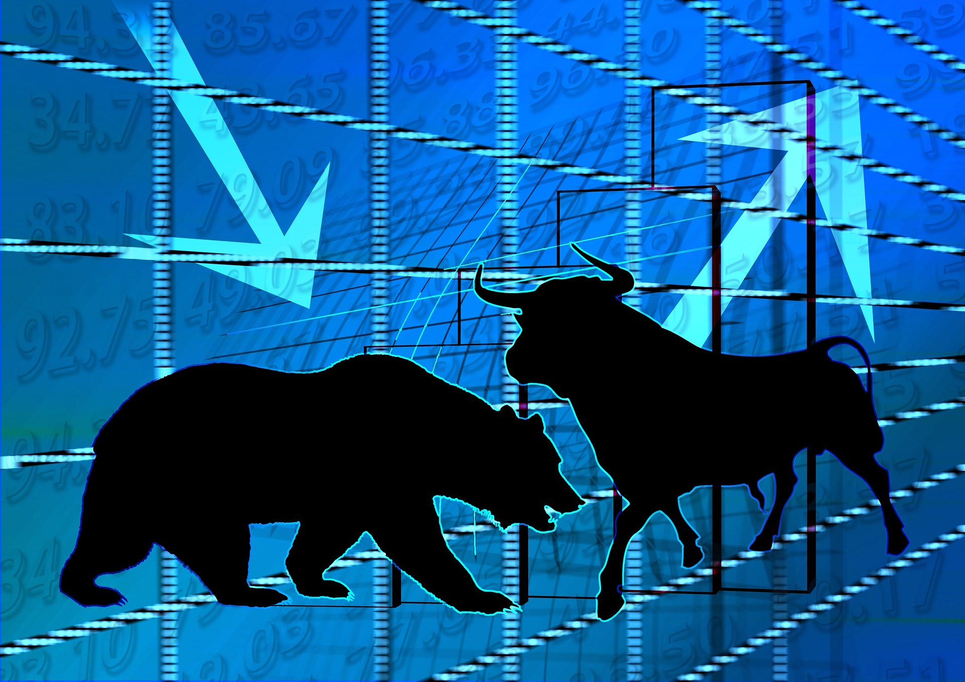 O que é bull run e bear market